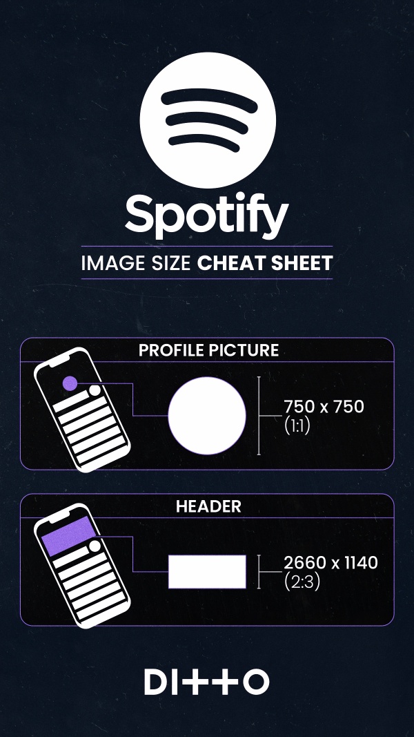 Artist Image Size Guide for Music Platforms - Spotify