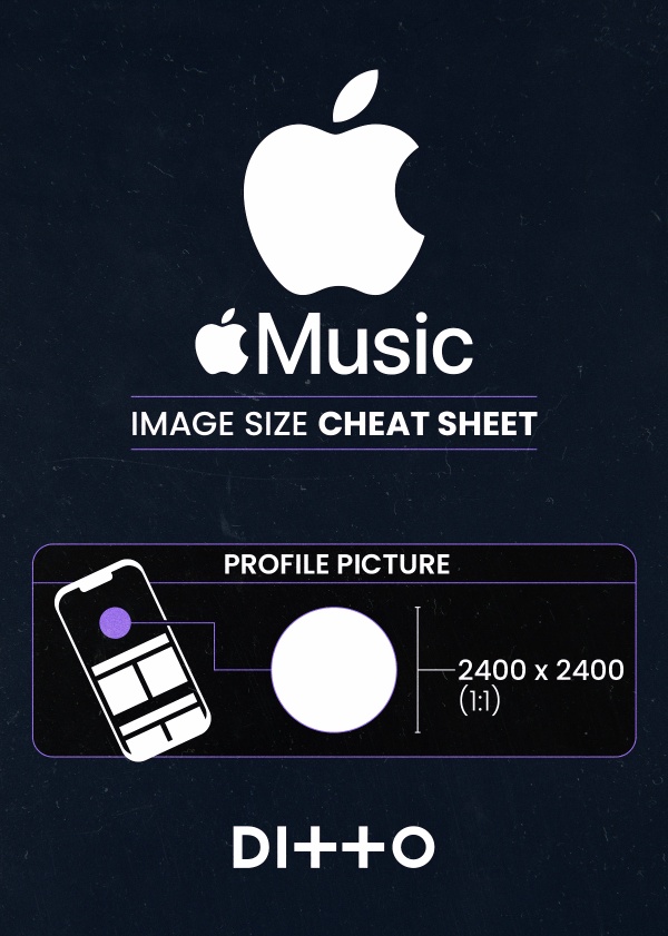 Artist Image Size Guide for Music Platforms - Apple