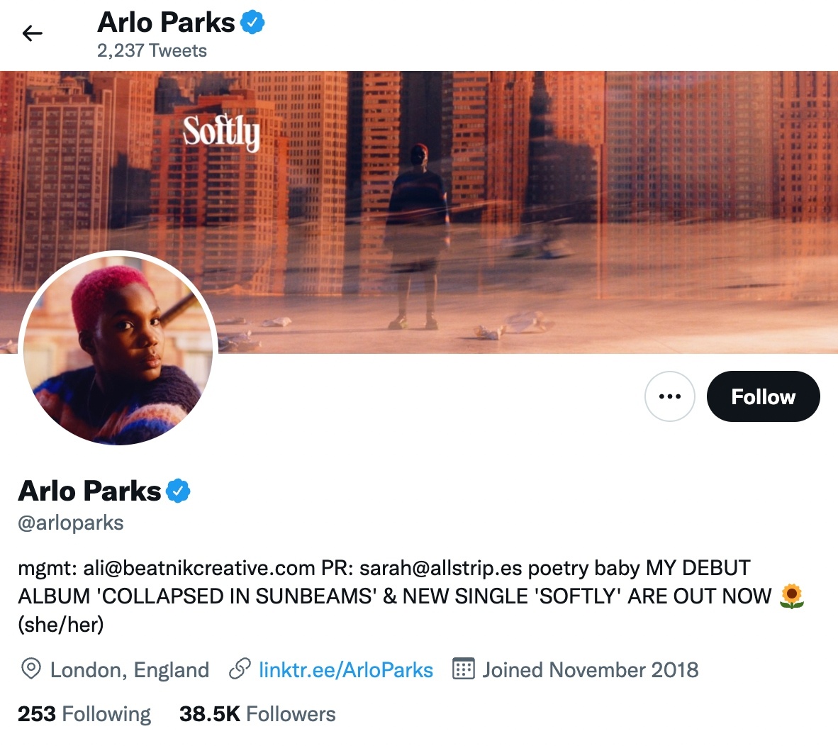 Twitter for musicians - Feature a LinkTree in your bio