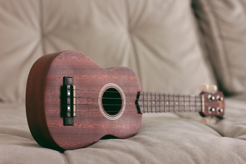 8 Easiest Instruments to Learn for Musicians on a Budget - ukelele