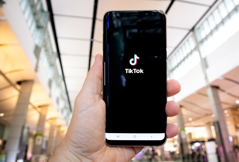 How to Build a Fanbase from Scratch - TikTok