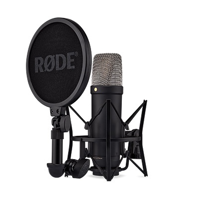 The 10 Best Mics For Recording Vocals - Rode NT1