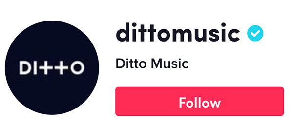 How to Get Verified on TikTok for Musicians - Ditto Music on TikTok