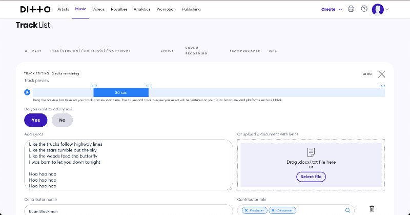 How to Get Lyrics on Spotify, Apple Music & More - Ditto Music Release Builder