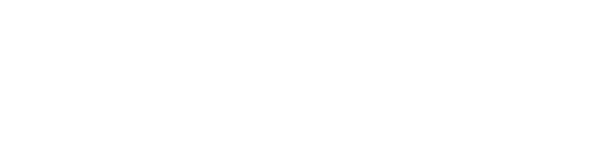 SAE