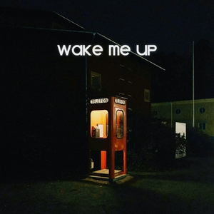 Wake Me Up — aleemrk