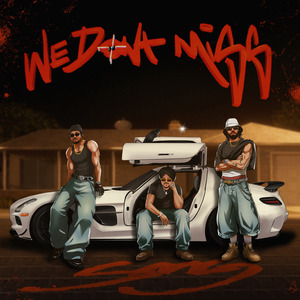 We Don't Miss — Baggh-e SMG, Farmaan SMG, BIG KAY SMG