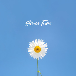Since Tum — JANI