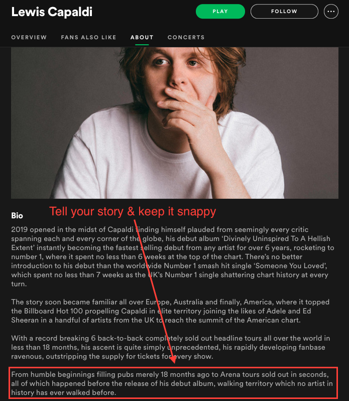 How to Write a Music Bio
