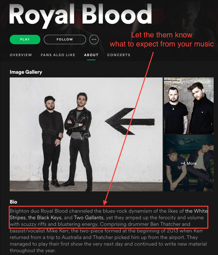 How to Write a Music Bio