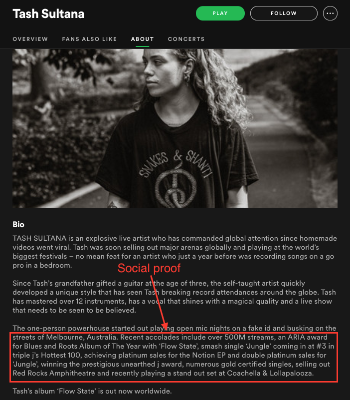 How to Write a Music Bio